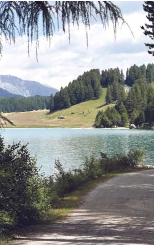 Studienreise: Auf Nietzsches Spuren in Sils Maria